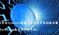 解决提币到tpwallet后找不到币的常见问题及解决办