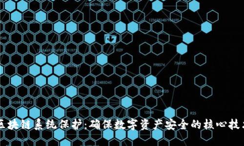 区块链系统保护：确保数字资产安全的核心技术