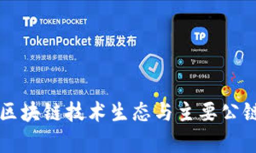中国区块链技术生态与主要公链解析